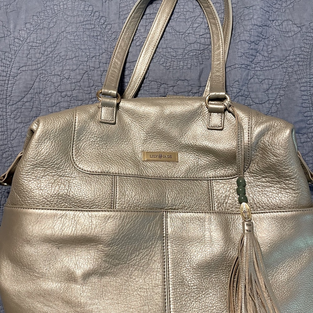 Lily Jade Leather handbag